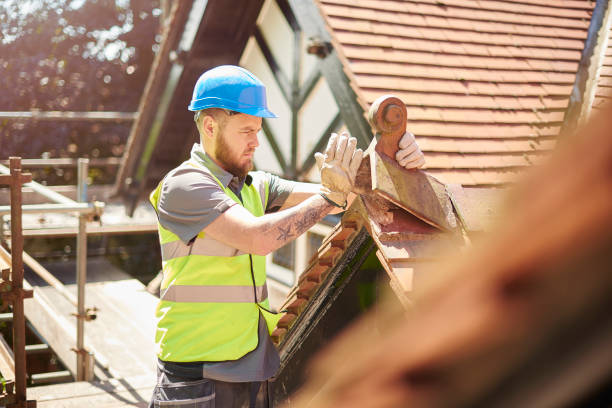 Best Metal Roofing Contractor  in Fruitville, FL
